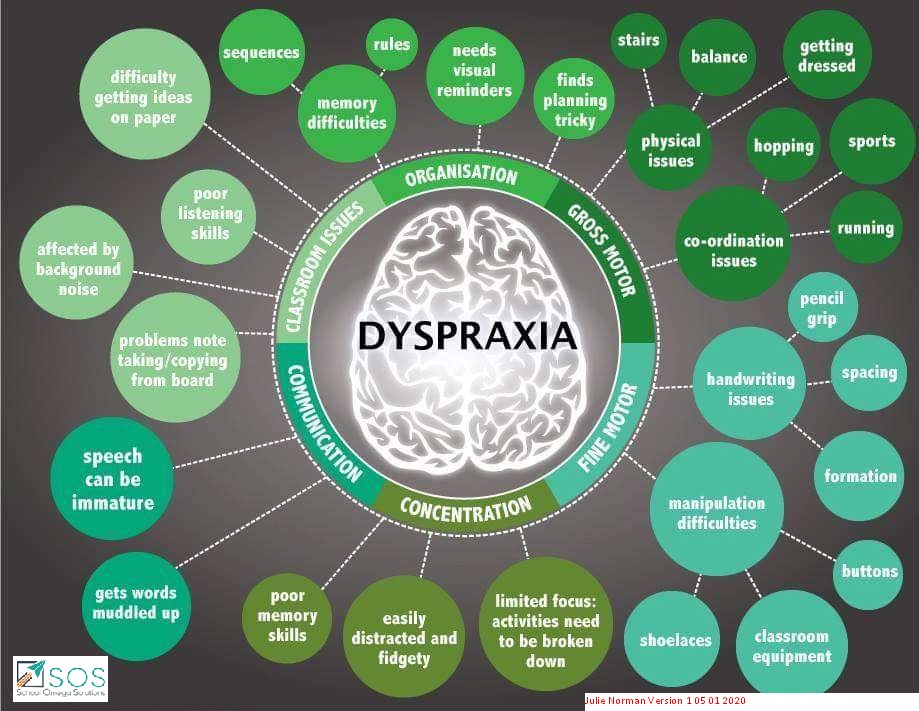 Dyspraxia Infographic